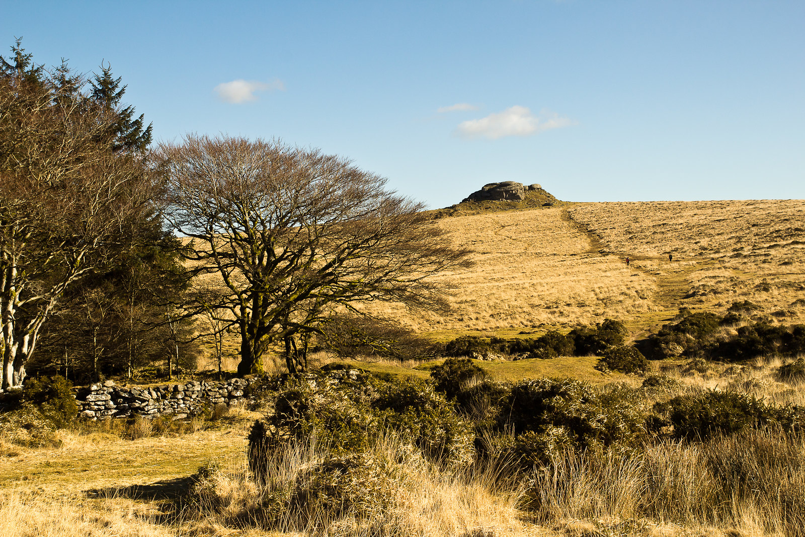 Dartmoor near Drewsteignton